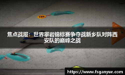 球信网官方网站